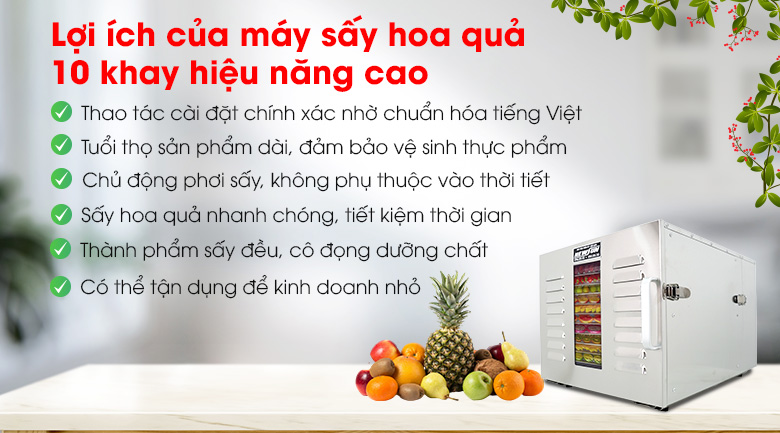 Lợi ích của máy sấy hoa quả 10 khay hiệu năng cao