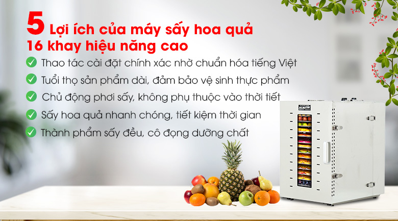 Lợi ích khi sử dụng máy sấy hoa quả 16 khay hiệu năng cao