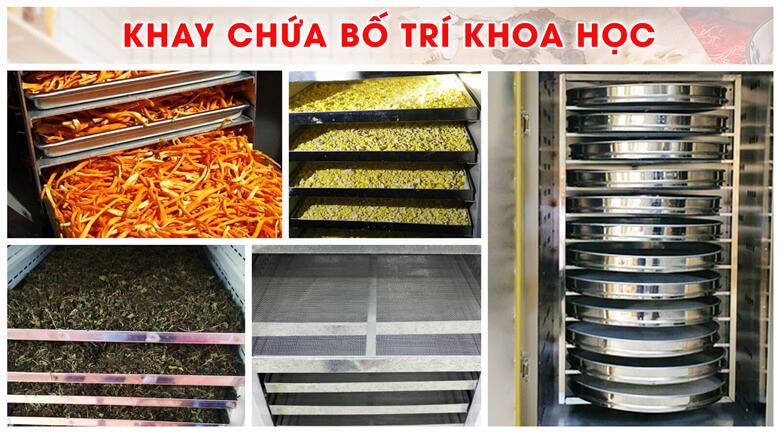 Khay chứa bố trí khoa học