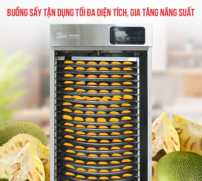 Buồng sấy tận dụng tối đa diện tích, cho năng suất cao Buồng sấy tận dụng tối đa diện tích, cho năng suất cao