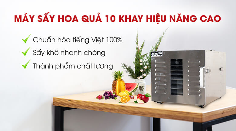 Tủ sấy hoa quả 10 khay hiệu năng cao