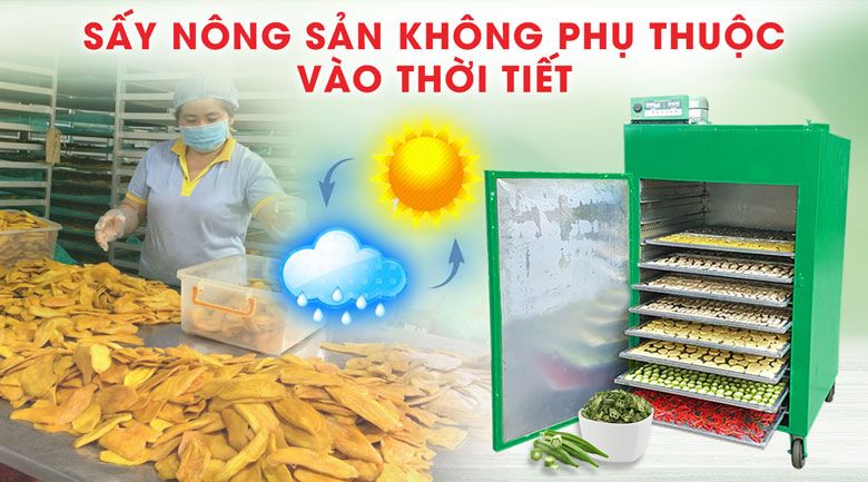 Sấy nông sản không phụ thuộc vào thời tiết