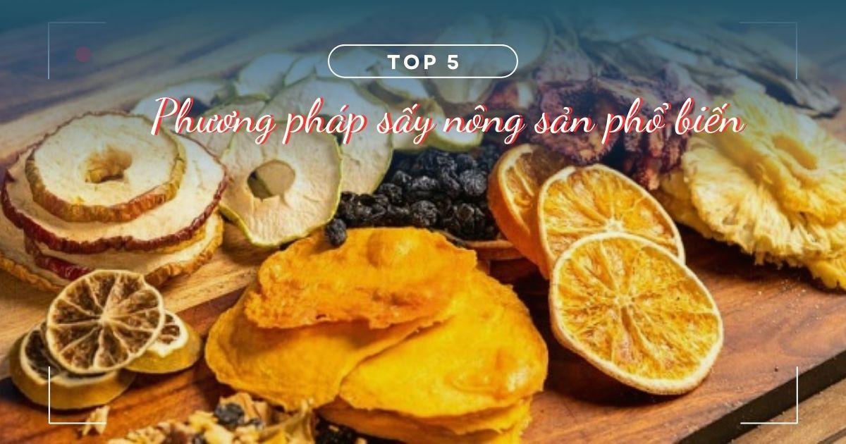 Top 5 phương pháp sấy nông sản phổ biến