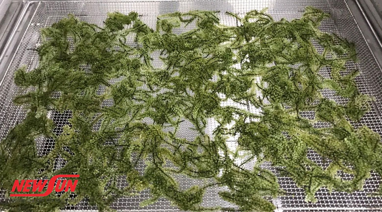 Hướng dẫn 4 cách làm snack từ rau củ sấy tại nhà vô cùng dễ Cách làm snack từ rau củ sấy, hạn dùng