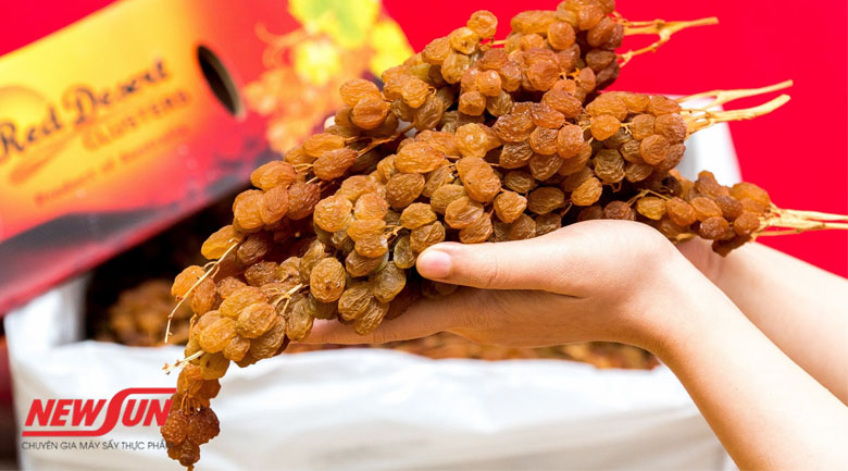 Thực phẩm sấy nào tốt cho da? TOP 5 sản phẩm dễ tìm, giá rẻ Thực phẩm sấy nào tốt cho da, nho khô