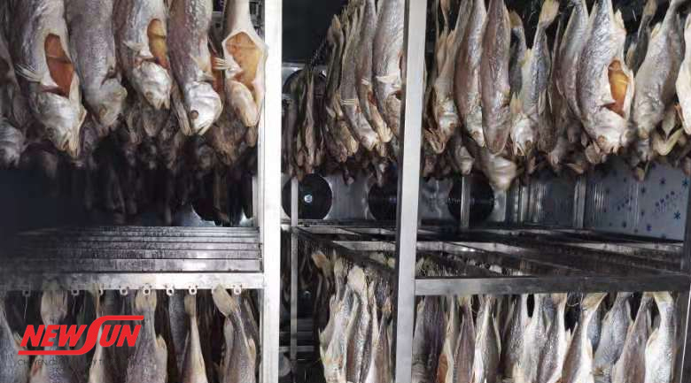 Hải sản có sấy được không, bằng máy