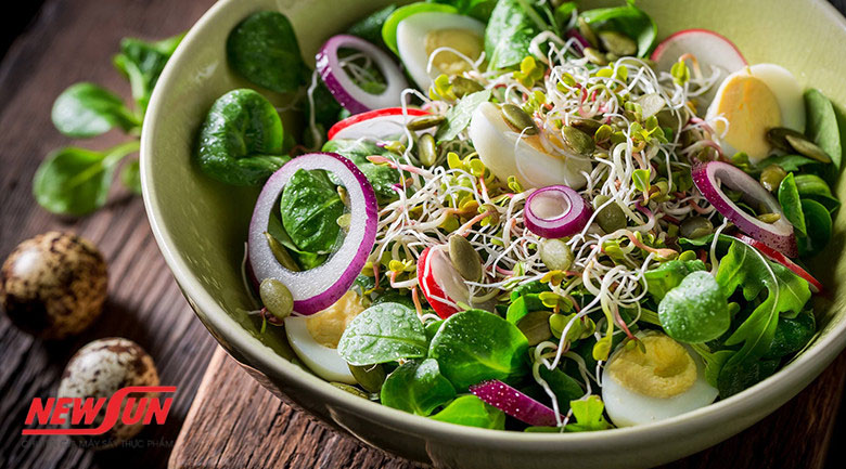 Hướng dẫn làm món salad từ rau củ sấy healthy giúp giảm cân Làm món salad từ rau củ sấy, cách trộn