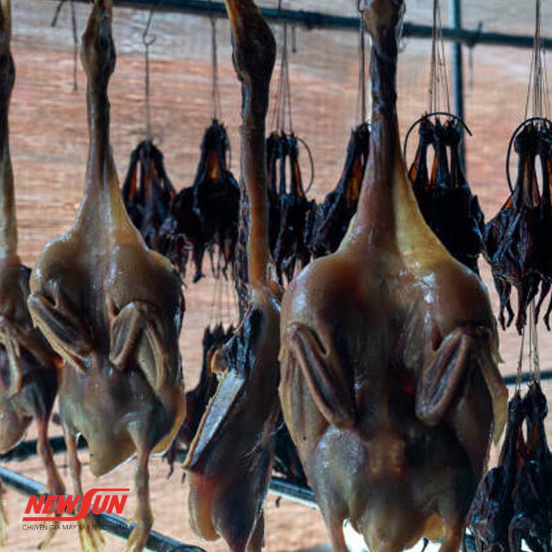 Hướng dẫn 3 cách sấy chim bồ câu thơm ngon, vệ sinh tại nhà