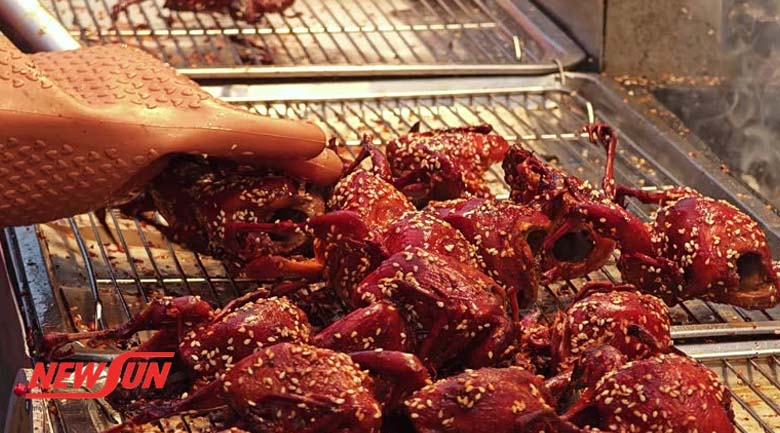 Hướng dẫn 3 cách sấy chim bồ câu thơm ngon, vệ sinh tại nhà Sấy chim bồ câu bằng máy sấy