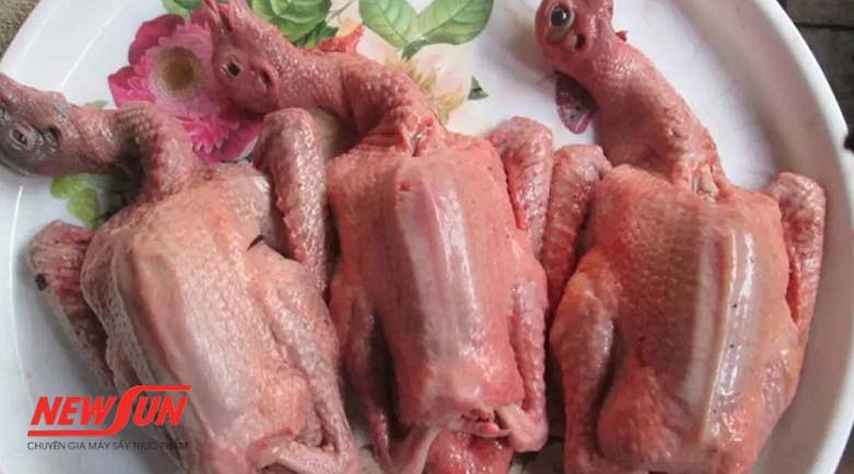 Hướng dẫn 3 cách sấy chim bồ câu thơm ngon, vệ sinh tại nhà Sấy chim bồ câu