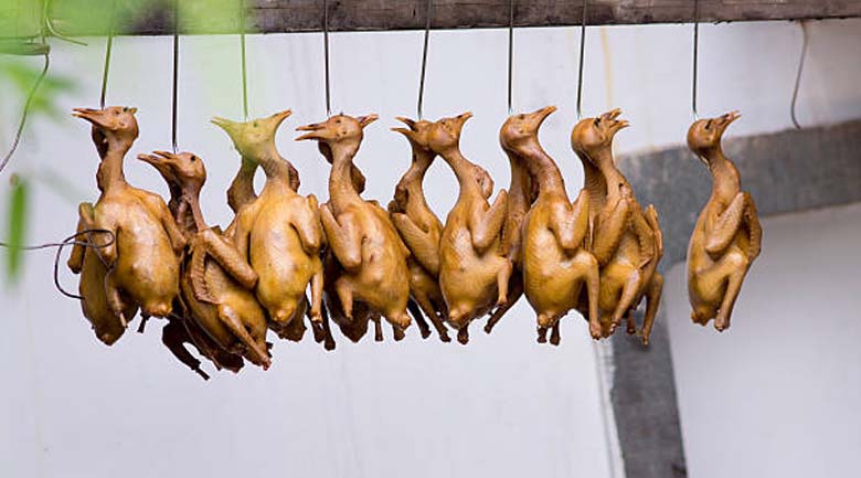 Hướng dẫn 3 cách sấy chim cút bổ dưỡng, thơm ngon, dễ làm Sấy chim cút bằng ánh nắng