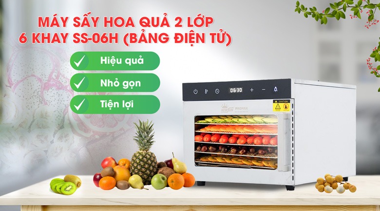 máy sấy trái cây mini 2 lớp 6 khay SS-06H