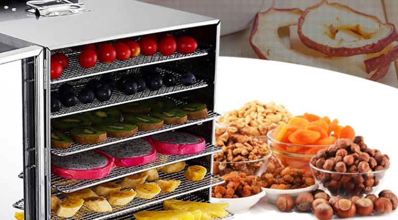 Máy sấy trái cây mini