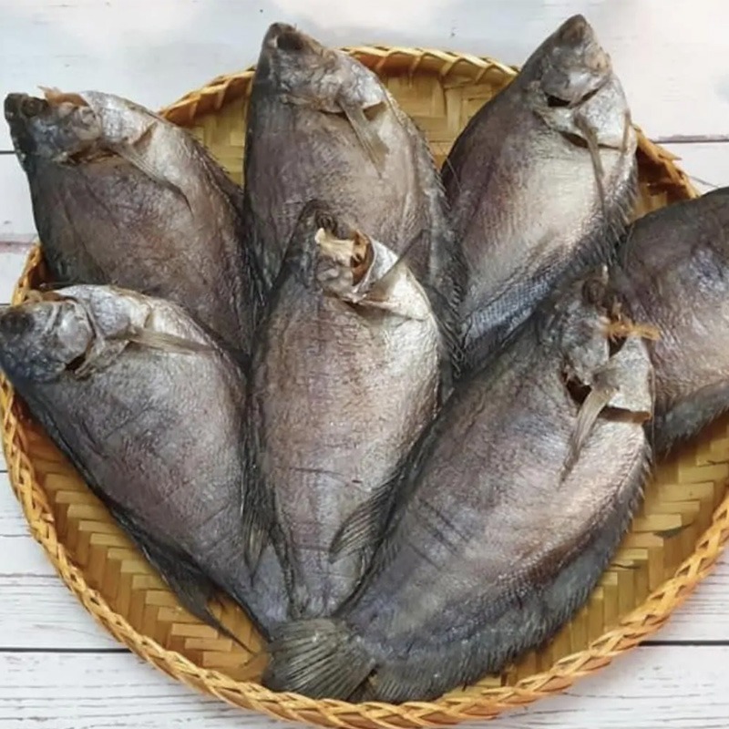 Review TOP 5 máy sấy cá khô công nghiệp có mức giá phải chăng