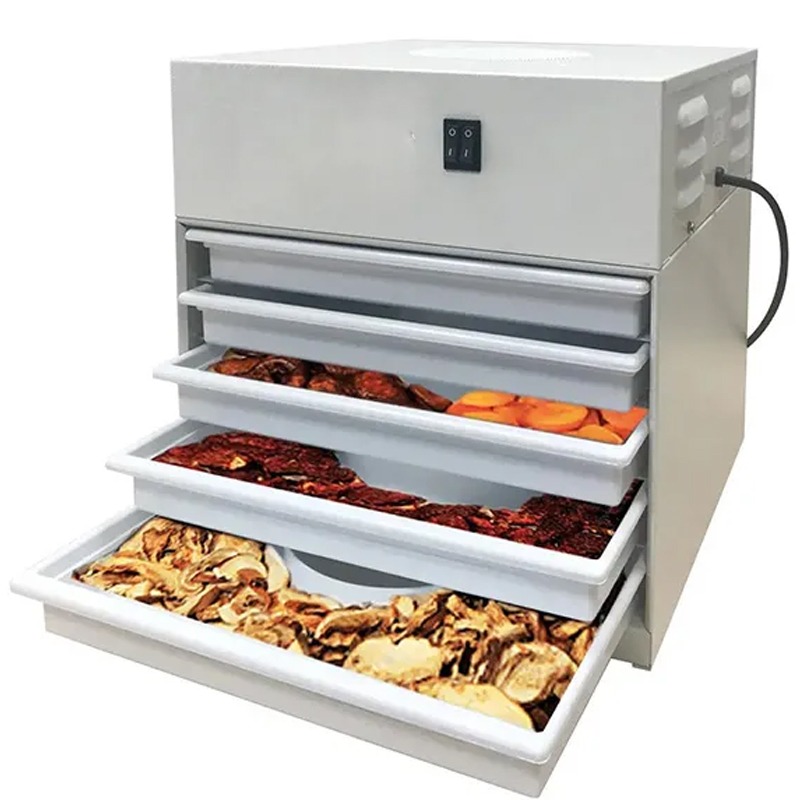 Máy sấy thực phẩm mini loại nào tốt? 6 tiêu chí chọn phù hợp