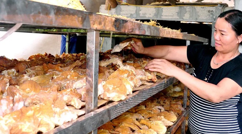 máy sấy măng khô lưu ý