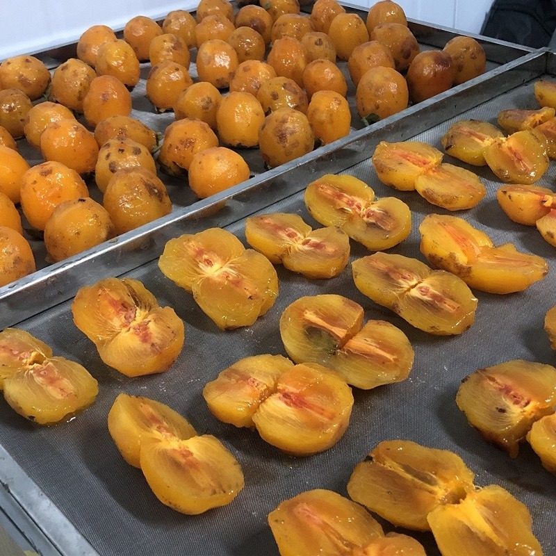 máy sấy dẻo, đại diện