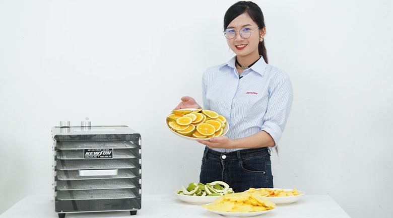 máy sấy dẻo mini 6 khay