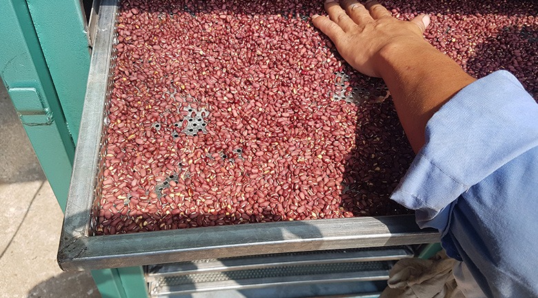 MÁY SẤY HẠT NGŨ CỐC