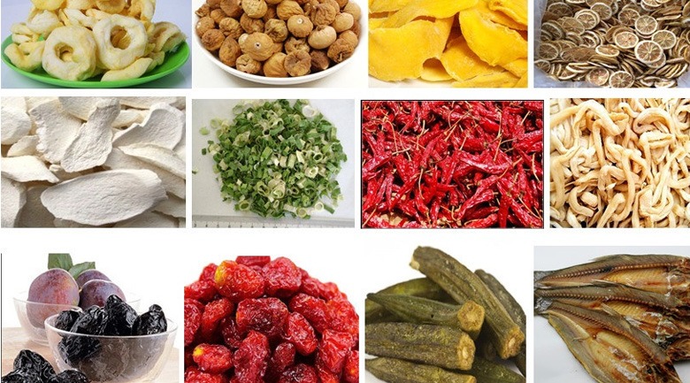 Máy sấy lạnh thực phẩm