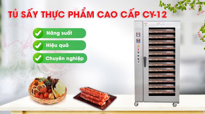 Máy sấy mứt dừa CY-12 cao cấp
