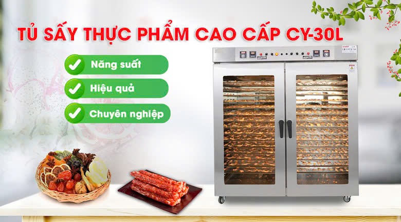 Máy sấy mứt dừa CY-30L cao cấp