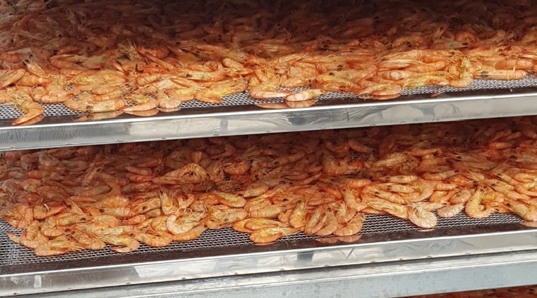 máy sấy tôm khô