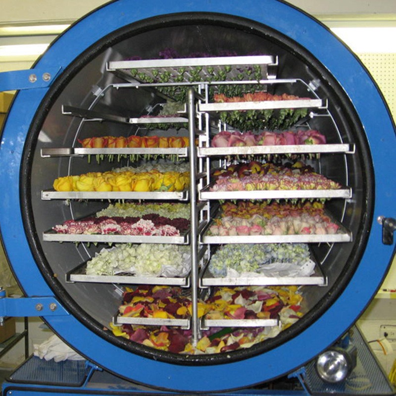 Review TOP 5 máy sấy hoa quả lạnh bán chạy hiện nay