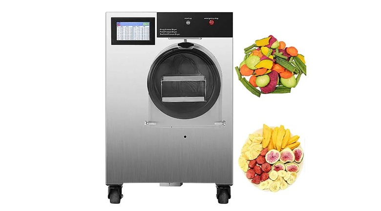 Máy sấy hoa quả lạnhFood Freeze Dryer Machine 