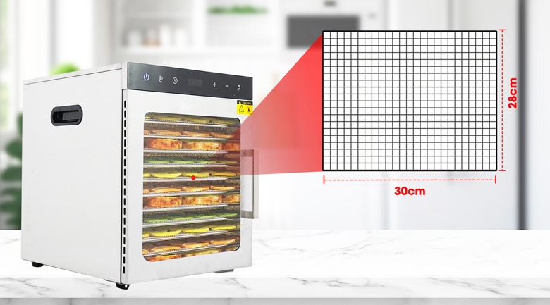 Máy sấy hoa quả lạnh 10 khay inox