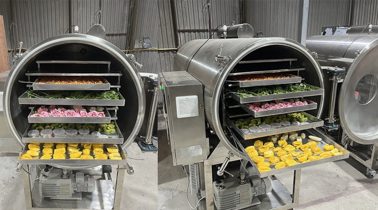 Máy sấy hoa quả lạnh Freeze Dryer Adjustable