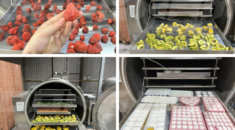 Máy sấy hoa quả lạnh công nghiệp khối lượng lớn