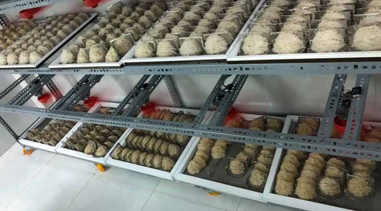 máy sấy lạnh tổ yến, thương hiệu