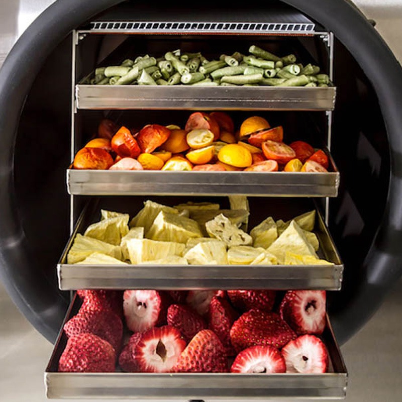 Nên lựa chọn máy sấy lạnh trái cây hay máy sấy truyền thống?