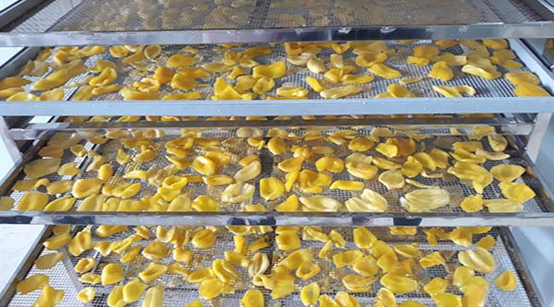 máy sấy lạnh trái cây theo ngân sách