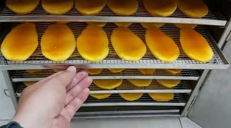 máy sấy trái cây dẻo cách dùng
