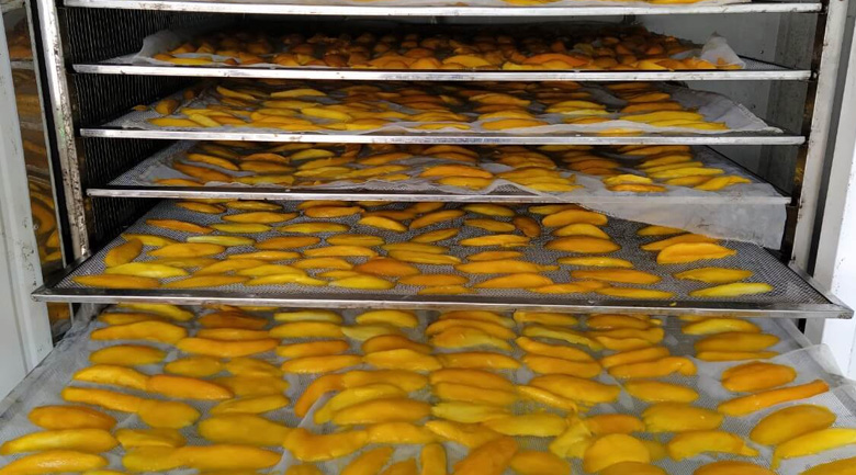 máy sấy trái cây dẻo